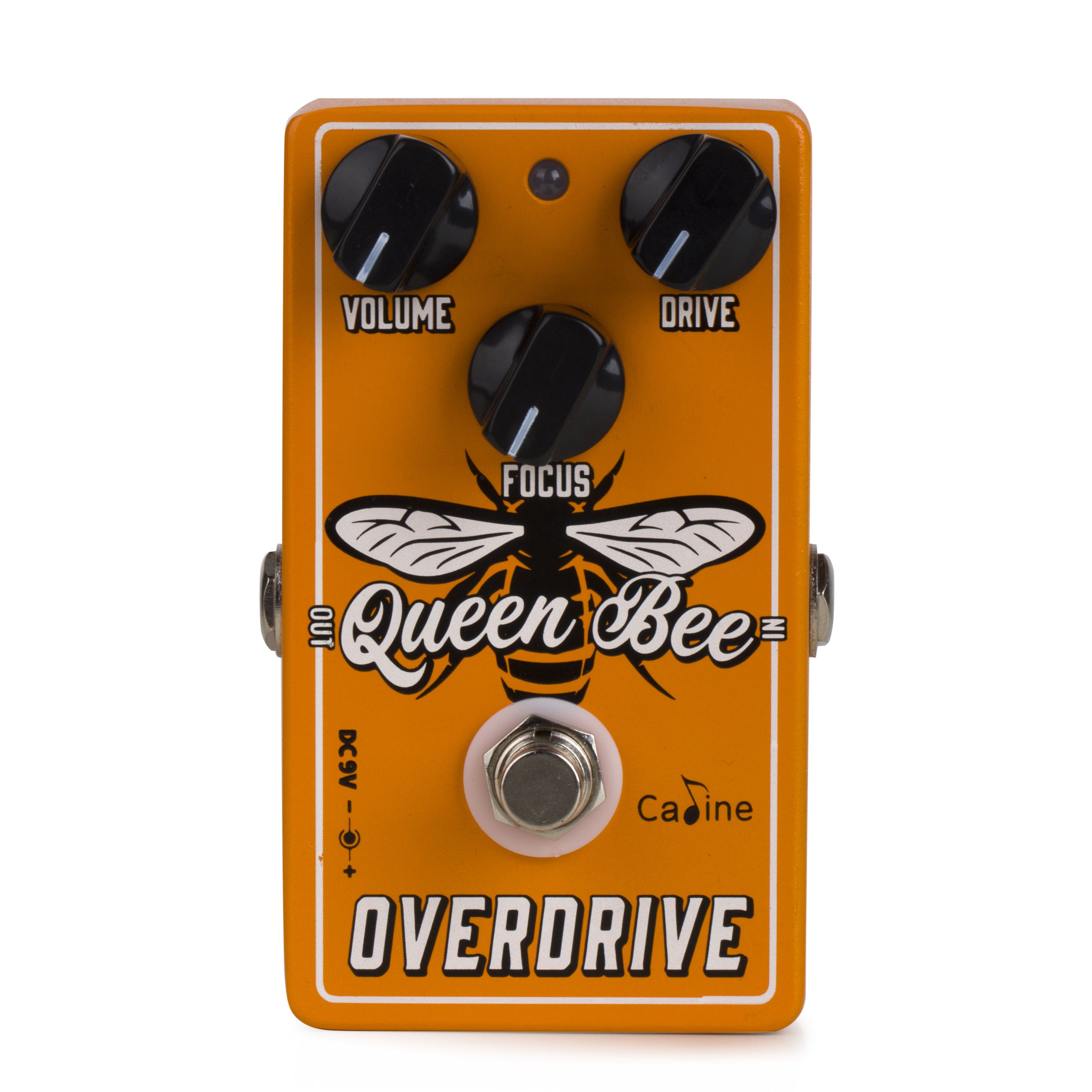 Caline CP-503 Queen Bee Overdrive